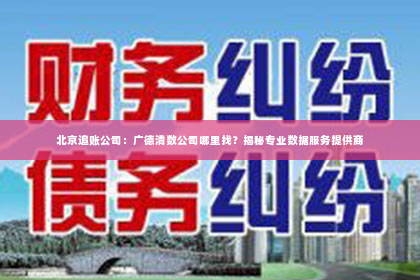 北京追账公司：广德清数公司哪里找？揭秘专业数据服务提供商