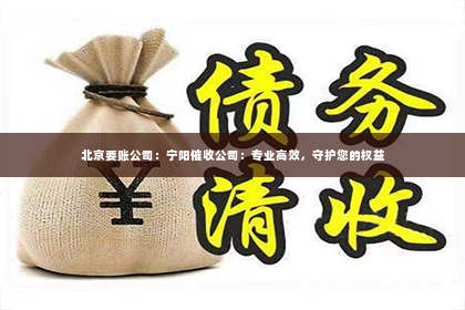 北京要账公司：宁阳催收公司：专业高效，守护您的权益