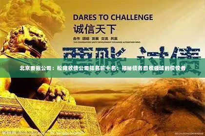 北京要账公司：松阳收债公司排名前十名：揭秘债务回收领域的佼佼者