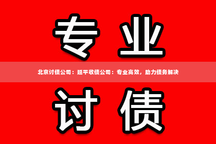 北京讨债公司：延平收债公司：专业高效，助力债务解决
