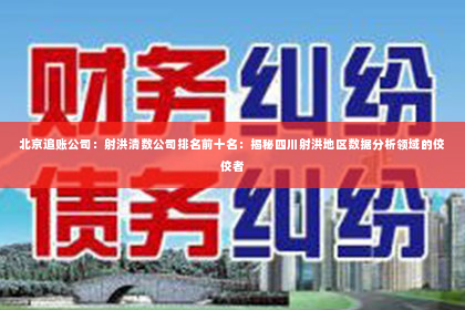 北京追账公司：射洪清数公司排名前十名：揭秘四川射洪地区数据分析领域的佼佼者