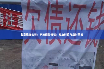 北京追账公司：宁波债务催收：专业解读与应对策略